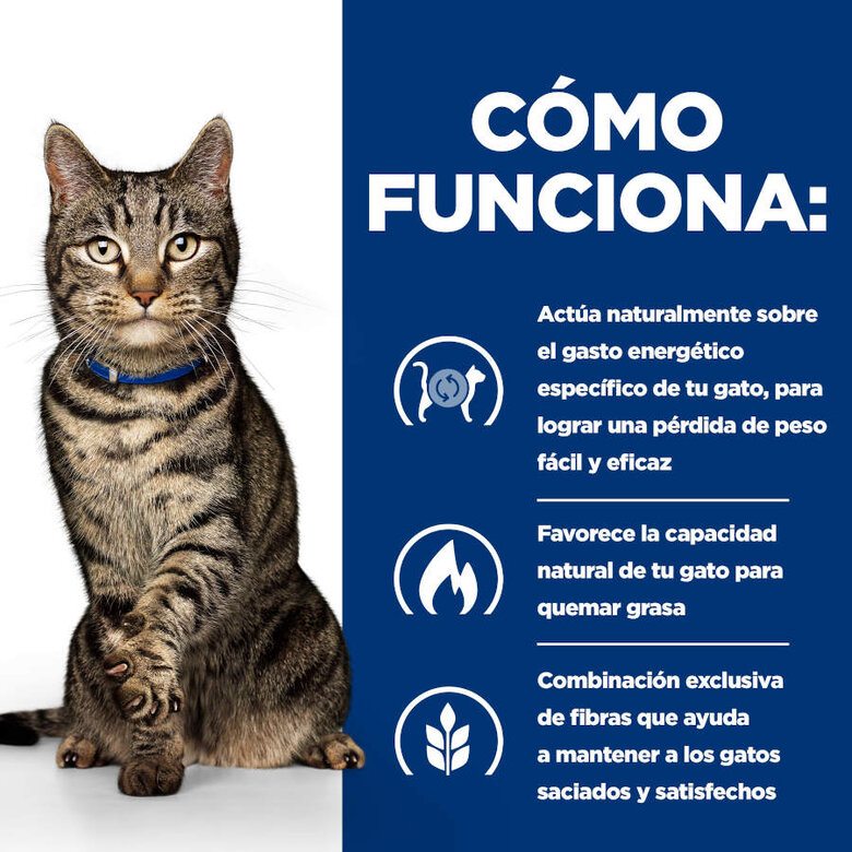 12 saquetas x 85 g Hill's Prescription Diet Metabólico Controlo de Peso Peixe Saqueta com Molho para gatos,  Imagem número 2 12 saquetas x 85 g Hill's Prescription Diet Metabólico Controlo de Peso Peixe Saqueta com Molho para gatos, , large Imagem número 2